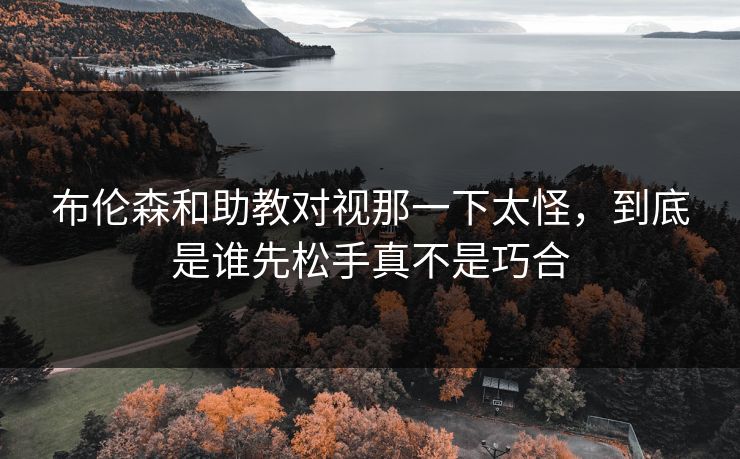 布伦森和助教对视那一下太怪，到底是谁先松手真不是巧合