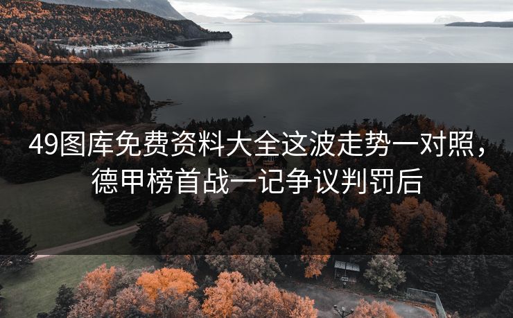 49图库免费资料大全这波走势一对照，德甲榜首战一记争议判罚后