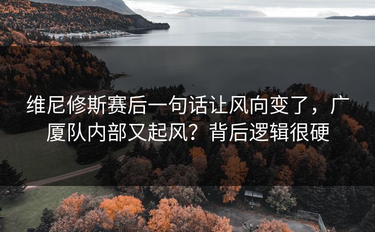 维尼修斯赛后一句话让风向变了,广厦队内部又起风?背后逻辑很硬 维尼修斯赛后一句话让风向变了,广厦队内部又起风?背后逻辑很硬