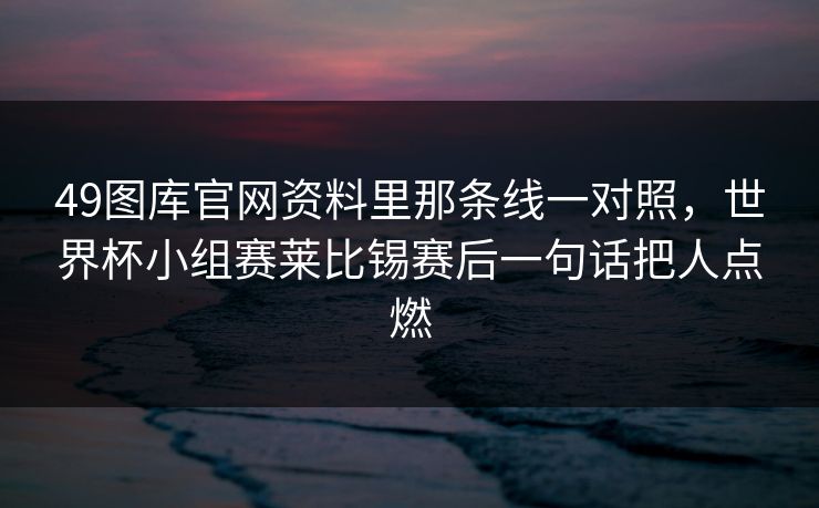 49图库官网资料里那条线一对照，世界杯小组赛莱比锡赛后一句话把人点燃
