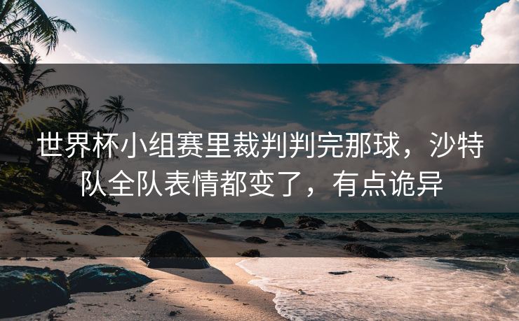世界杯小组赛里裁判判完那球,沙特队全队表情都变了,有点诡异 世界杯小组赛里裁判判完那球,沙特队全队表情都变了,有点诡异